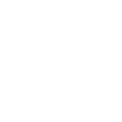 ZNS Services