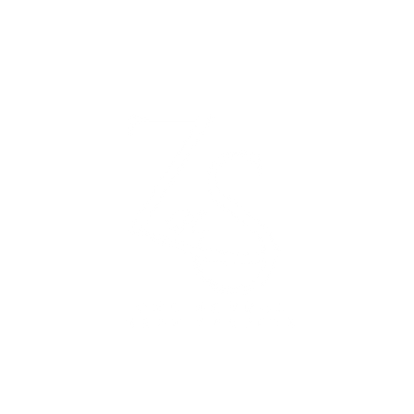ZNS Services